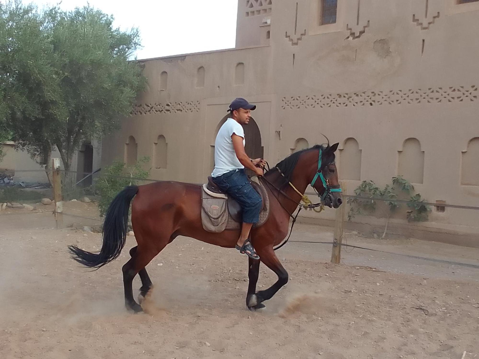 Kasbah Dar Dmana Hotell Skoura Exteriör bild